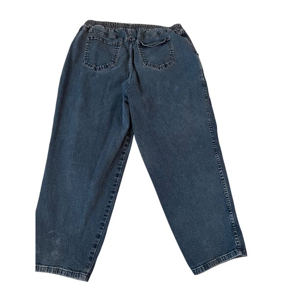 D & Co. Blue Jean Denim Elastic Waist Stretch Jeans Women's Size 1XP - Picture 6 of 7